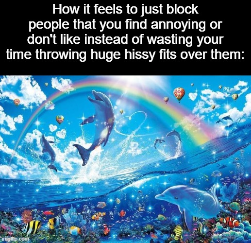 Happy dolphin rainbow | How it feels to just block people that you find annoying or don't like instead of wasting your time throwing huge hissy fits over them: | image tagged in happy dolphin rainbow | made w/ Imgflip meme maker