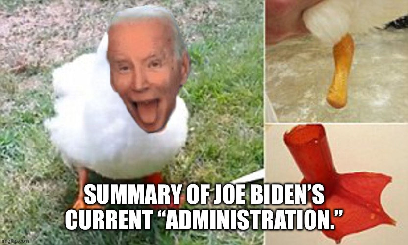 SUMMARY OF JOE BIDEN’S CURRENT “ADMINISTRATION.” | image tagged in lame duck | made w/ Imgflip meme maker