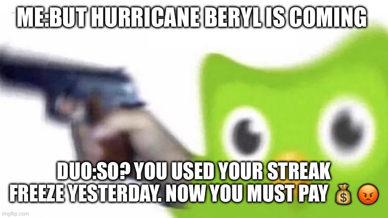 duolingo gun | ME:BUT HURRICANE BERYL IS COMING; DUO:SO? YOU USED YOUR STREAK FREEZE YESTERDAY. NOW YOU MUST PAY 💰 😡 | image tagged in duolingo gun | made w/ Imgflip meme maker