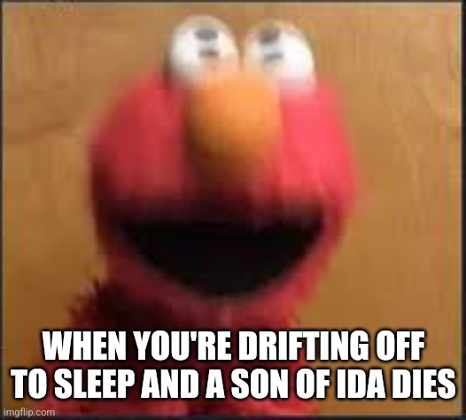 scared elmo | WHEN YOU'RE DRIFTING OFF TO SLEEP AND A SON OF IDA DIES | image tagged in scared elmo | made w/ Imgflip meme maker