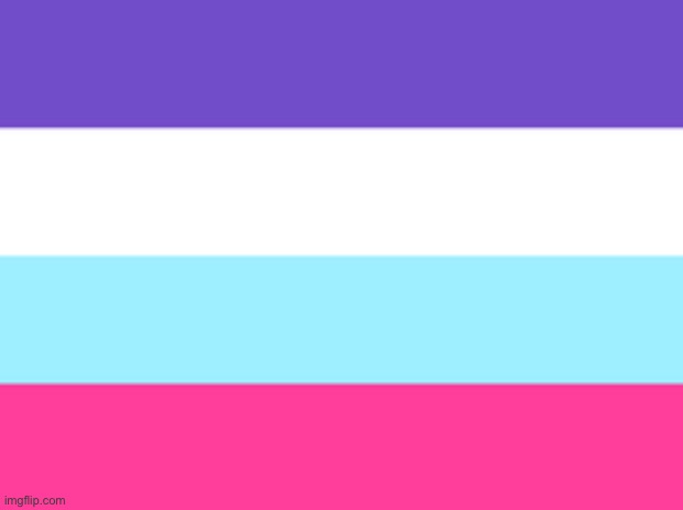 Multisexual flag Blank Meme Template
