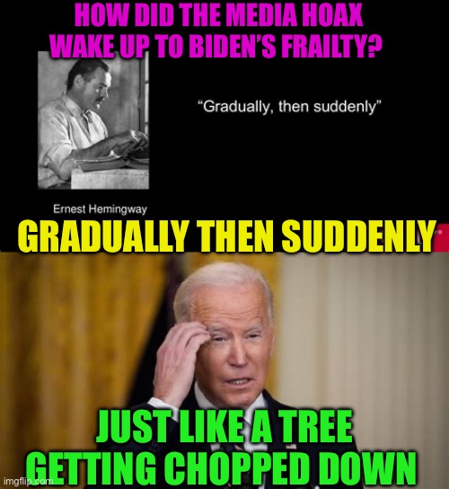 Biden’s frailty is the problem, not age | HOW DID THE MEDIA HOAX WAKE UP TO BIDEN’S FRAILTY? GRADUALLY THEN SUDDENLY; JUST LIKE A TREE GETTING CHOPPED DOWN | image tagged in democrats president,biden,democrats,presidential debate,dementia | made w/ Imgflip meme maker