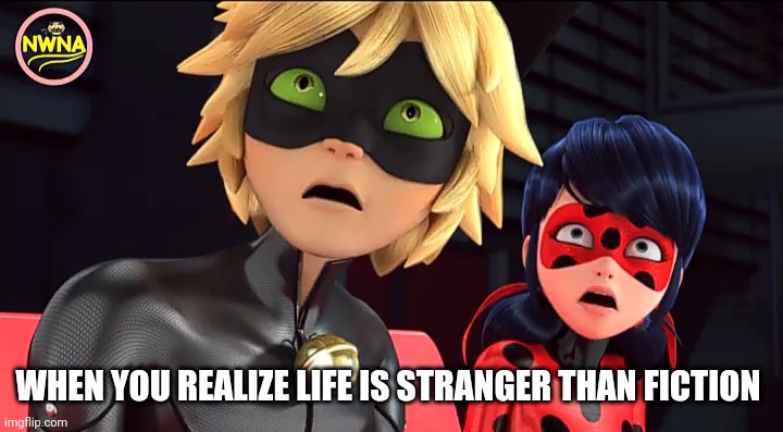 It Is What It Is | WHEN YOU REALIZE LIFE IS STRANGER THAN FICTION | image tagged in miraculous memebug | made w/ Imgflip meme maker