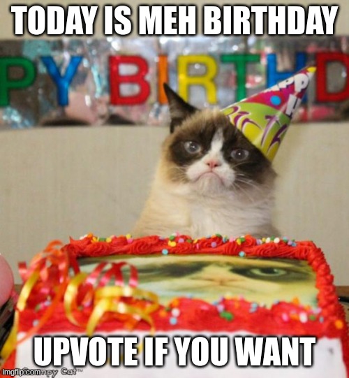 I'm turning 14 btw | TODAY IS MEH BIRTHDAY; UPVOTE IF YOU WANT | image tagged in memes,grumpy cat birthday,grumpy cat | made w/ Imgflip meme maker
