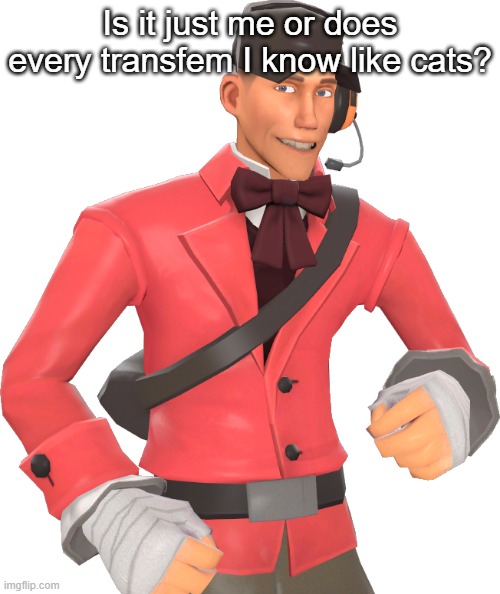 Pretty sure it's part of trans memes along with Blåhaj(Arden note: it’s true) | Is it just me or does every transfem I know like cats? | made w/ Imgflip meme maker