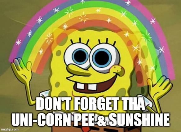 Imagination Spongebob | DON'T FORGET THA UNI-CORN PEE & SUNSHINE | image tagged in memes,imagination spongebob | made w/ Imgflip meme maker