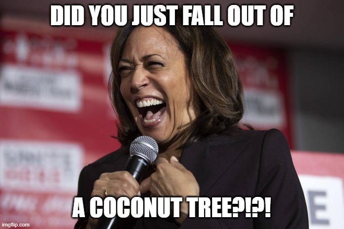 Kamala laughing | DID YOU JUST FALL OUT OF A COCONUT TREE?!?! | image tagged in kamala laughing | made w/ Imgflip meme maker