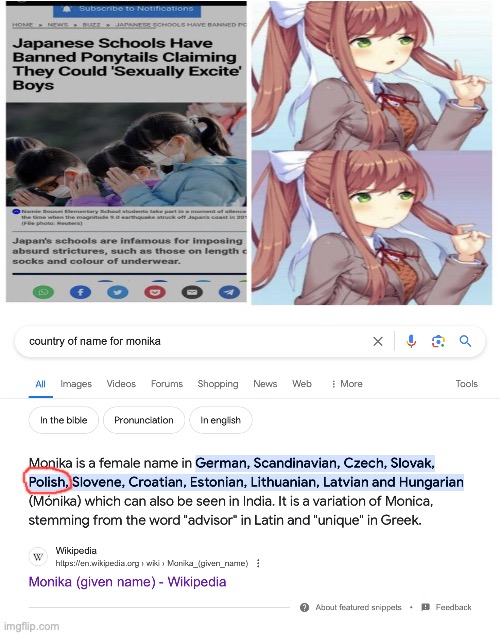 But isn't Monika a Polish Name? | image tagged in monika,poland,japan,schools,ponytails | made w/ Imgflip meme maker