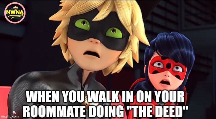 Put a sock on the door next time... | WHEN YOU WALK IN ON YOUR ROOMMATE DOING "THE DEED" | image tagged in miraculous memebug | made w/ Imgflip meme maker