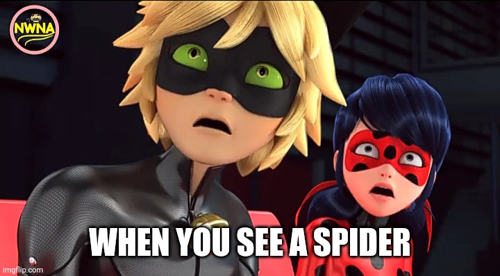 Spiders!!!!!!! | WHEN YOU SEE A SPIDER | image tagged in miraculous memebug,miraculous ladybug,spider,fear | made w/ Imgflip meme maker