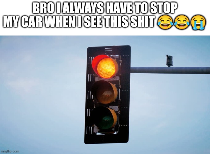 True story | BRO I ALWAYS HAVE TO STOP MY CAR WHEN I SEE THIS SHIT 😂😂😭 | image tagged in relatable,literally,literal meme,funny,meme,funny memes | made w/ Imgflip meme maker