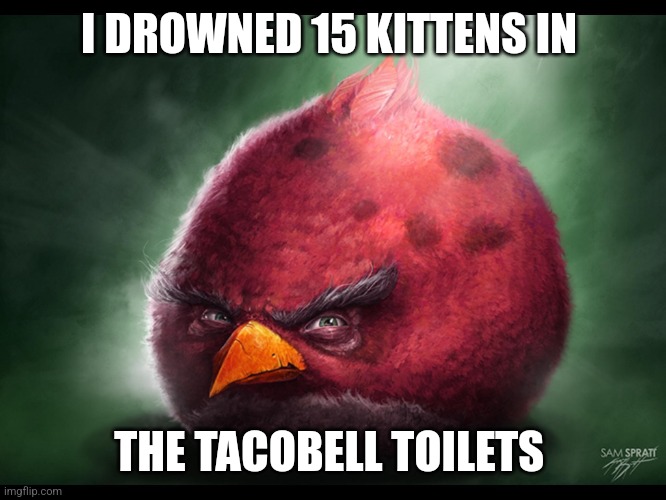 Taco bell | I DROWNED 15 KITTENS IN; THE TACOBELL TOILETS | image tagged in realistic angry bird big red | made w/ Imgflip meme maker