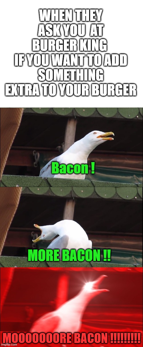 I  choose to remove the salad and cheese and added 5 extra slices of bacon at the ordering booth  xD | WHEN THEY ASK YOU  AT BURGER KING 
IF YOU WANT TO ADD SOMETHING EXTRA TO YOUR BURGER; Bacon ! MORE BACON !! MOOOOOOORE BACON !!!!!!!!! | image tagged in inhaling pigeon,iwanttobebacon,burger king,bacon meme,i love bacon | made w/ Imgflip meme maker