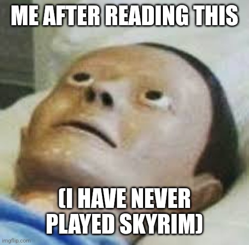 Traumatized Mannequin | ME AFTER READING THIS (I HAVE NEVER PLAYED SKYRIM) | image tagged in traumatized mannequin | made w/ Imgflip meme maker