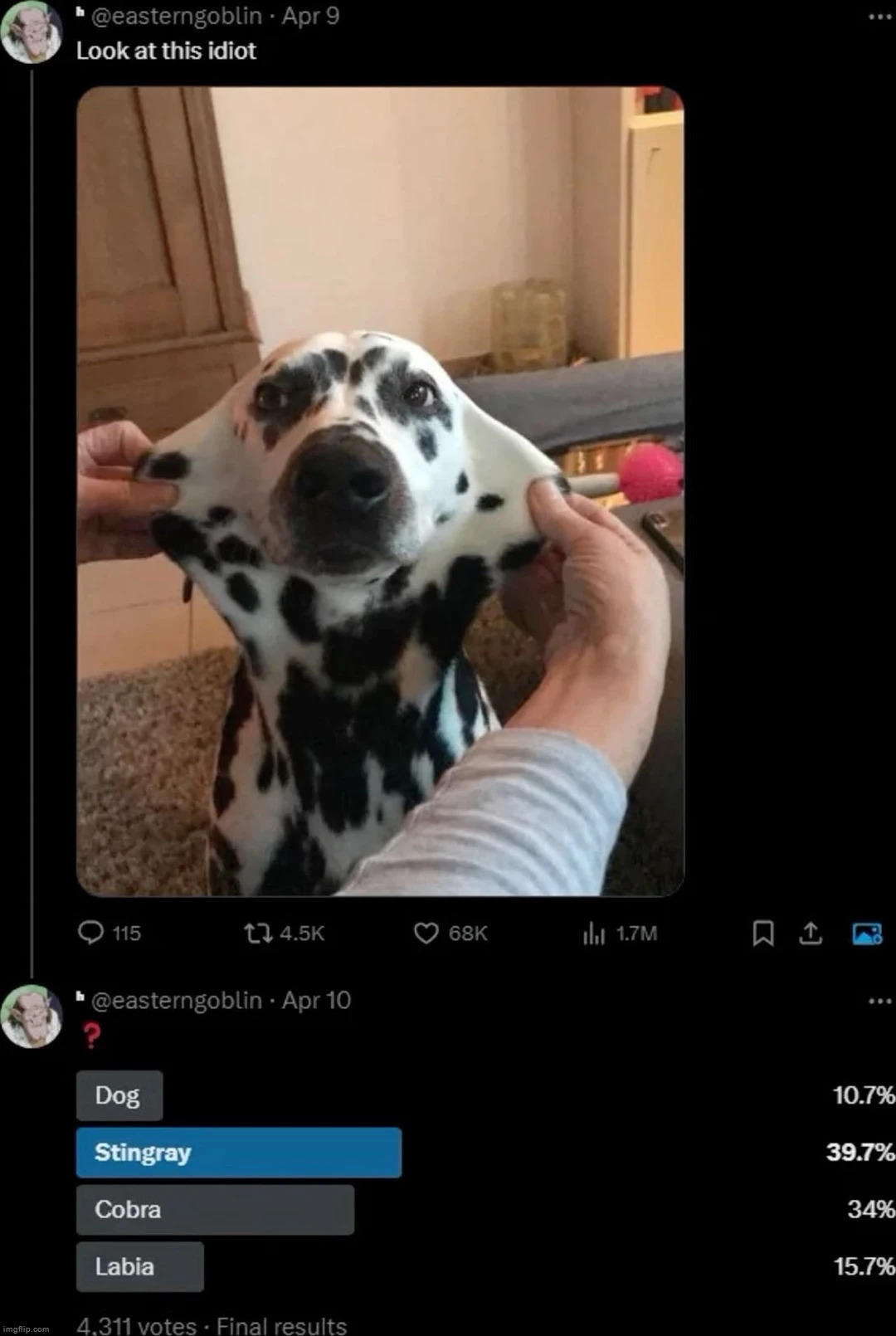 made w/ Imgflip meme maker
