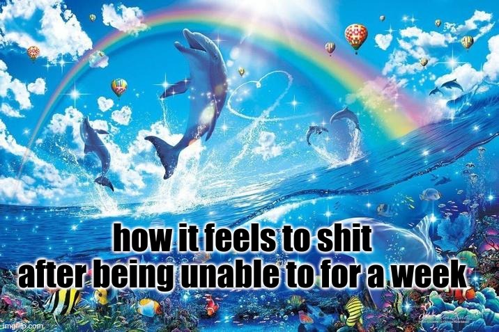 Happy dolphin rainbow | how it feels to shit after being unable to for a week | image tagged in happy dolphin rainbow | made w/ Imgflip meme maker