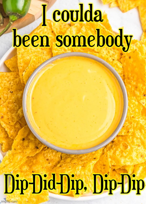 I coulda been somebody Dip-Did-Dip, Dip-Dip | made w/ Imgflip meme maker