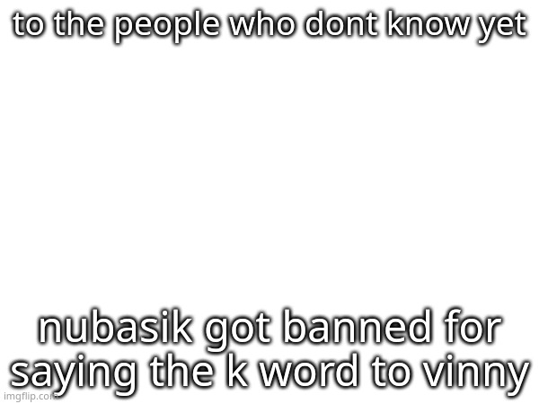 to the people who dont know yet; nubasik got banned for saying the k word to vinny | made w/ Imgflip meme maker