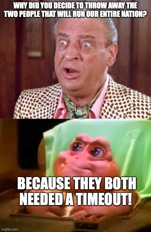 WHY DID YOU DECIDE TO THROW AWAY THE TWO PEOPLE THAT WILL RUN OUR ENTIRE NATION? BECAUSE THEY BOTH NEEDED A TIMEOUT! | image tagged in rodney dangerfield shocked,baby dinosaur | made w/ Imgflip meme maker