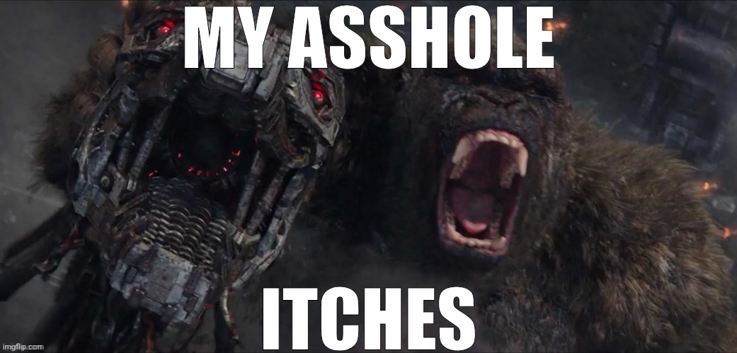 MY ASSHOLE; ITCHES | made w/ Imgflip meme maker