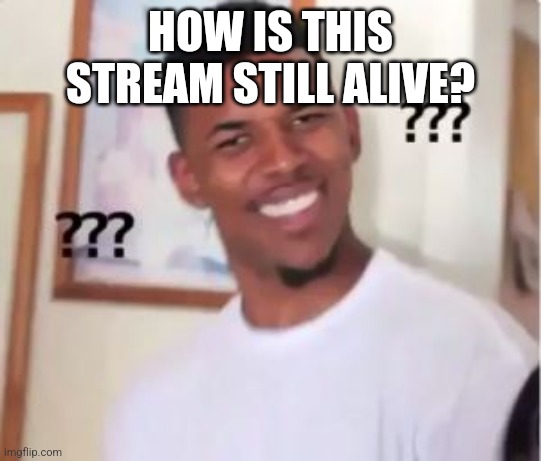 Nick Young | HOW IS THIS STREAM STILL ALIVE? | image tagged in nick young | made w/ Imgflip meme maker