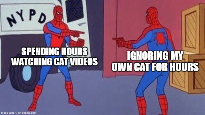 spiderman pointing at spiderman | SPENDING HOURS WATCHING CAT VIDEOS; IGNORING MY OWN CAT FOR HOURS | image tagged in spiderman pointing at spiderman | made w/ Imgflip meme maker