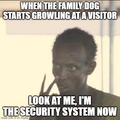 Look At Me | WHEN THE FAMILY DOG STARTS GROWLING AT A VISITOR; LOOK AT ME, I'M THE SECURITY SYSTEM NOW | image tagged in memes,look at me | made w/ Imgflip meme maker