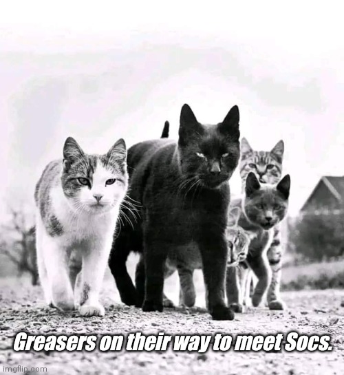 Greasers vs Socs | Greasers on their way to meet Socs. | image tagged in funny | made w/ Imgflip meme maker