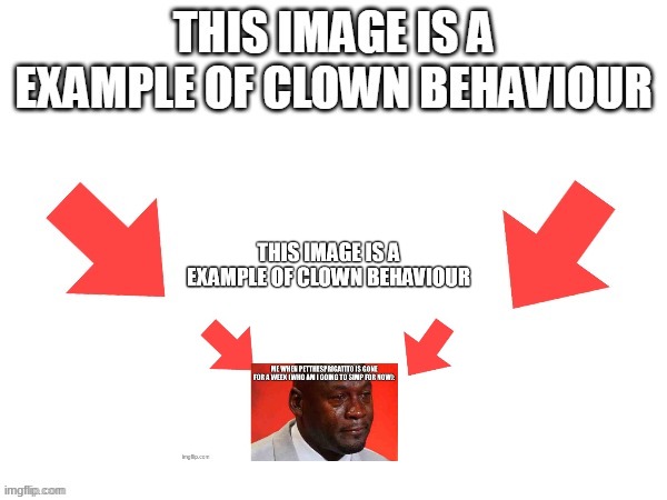 This image is a example of clown behaviour | image tagged in this image is a example of clown behaviour | made w/ Imgflip meme maker