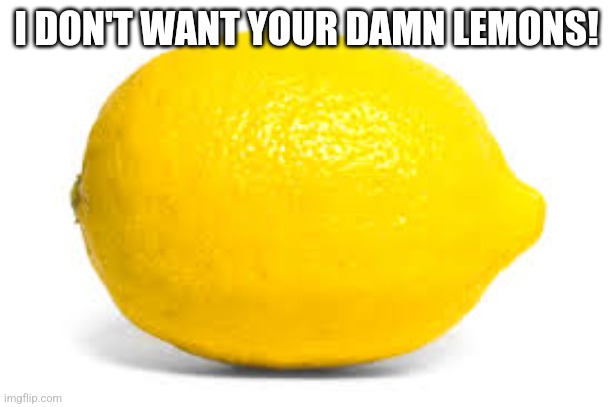 DO YOU KNOW WHO I AM? IM THE MAN WHOS GONNA BURN YOUR HOUSE DOWN! | I DON'T WANT YOUR DAMN LEMONS! | image tagged in when life gives you lemons x,portal,portal 2,lemons | made w/ Imgflip meme maker