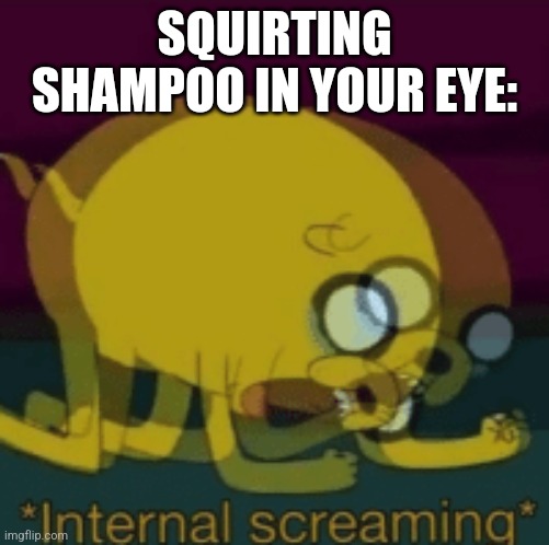 Yes, this actually happened. | SQUIRTING SHAMPOO IN YOUR EYE: | image tagged in jake the dog internal screaming,shampoo,shower,jake,adventure time | made w/ Imgflip meme maker