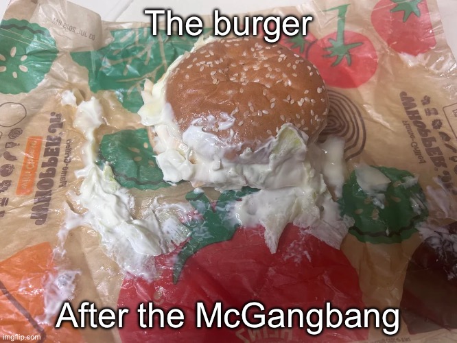 McGangbang | The burger; After the McGangbang | image tagged in gang bang,burger,mayo | made w/ Imgflip meme maker