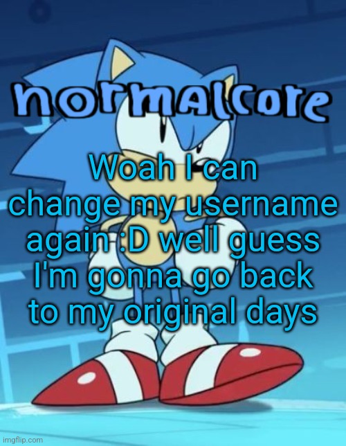 Random sonic template | Woah I can change my username again :D well guess I'm gonna go back to my original days | image tagged in random sonic template | made w/ Imgflip meme maker