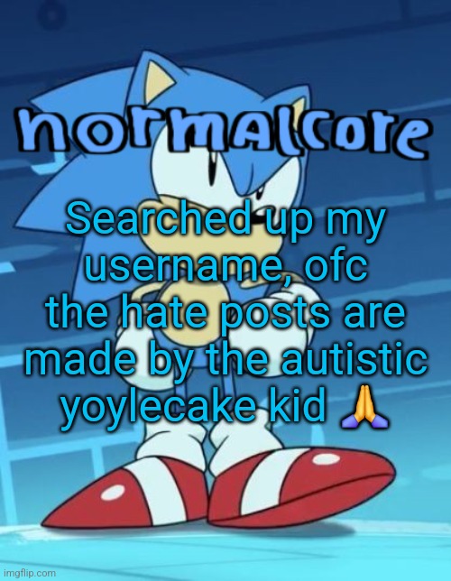 Random sonic template | Searched up my username, ofc the hate posts are made by the autistic yoylecake kid 🙏 | image tagged in random sonic template | made w/ Imgflip meme maker