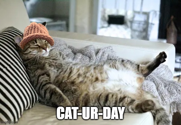 cat-ur-day | CAT-UR-DAY | image tagged in funny memes,cats | made w/ Imgflip meme maker