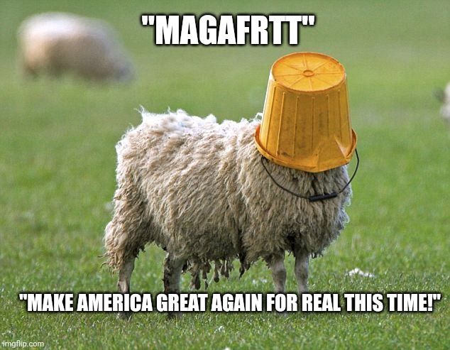 Pinky promise | "MAGAFRTT"; "MAKE AMERICA GREAT AGAIN FOR REAL THIS TIME!" | image tagged in stupid sheep | made w/ Imgflip meme maker