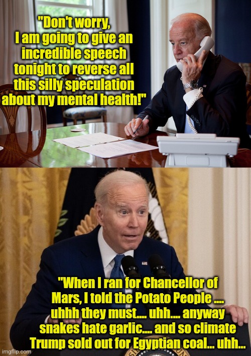 Biden appears skilled at one thing..... destroying his re-election chances! | "Don't worry, I am going to give an incredible speech tonight to reverse all this silly speculation about my mental health!"; "When I ran for Chancellor of Mars, I told the Potato People .... uhhh they must.... uhh.... anyway snakes hate garlic.... and so climate Trump sold out for Egyptian coal... uhh... | image tagged in biden answers the phone,confused joe biden podium,dementia,liberal logic,crying democrats,hypocrites | made w/ Imgflip meme maker