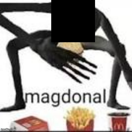 bye chat | image tagged in magdonal | made w/ Imgflip meme maker