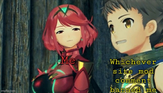 3 more hours | Whichever site mod comment banned me; Me | image tagged in pyra and rex | made w/ Imgflip meme maker