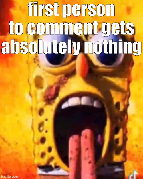 rotbob | first person to comment gets absolutely nothing | image tagged in rotbob | made w/ Imgflip meme maker