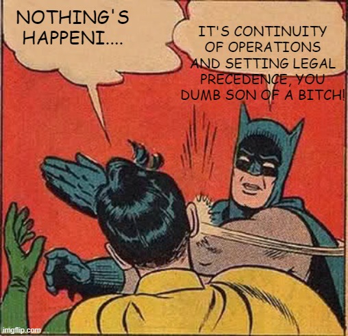 Batman Slapping Robin | IT'S CONTINUITY OF OPERATIONS AND SETTING LEGAL PRECEDENCE, YOU DUMB SON OF A BITCH! NOTHING'S HAPPENI.... | image tagged in memes,batman slapping robin | made w/ Imgflip meme maker