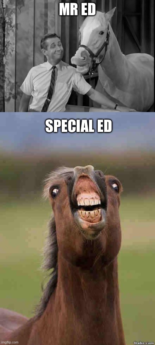 Horses for courses | MR ED; SPECIAL ED | image tagged in mr ed speaks,horse face,special,special education | made w/ Imgflip meme maker