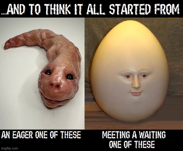 CREEPY BEGINNINGS:  Me Prior to Me / You Prior to You | image tagged in vince vance,creepy,egg,ovum,cursed image,memes | made w/ Imgflip meme maker