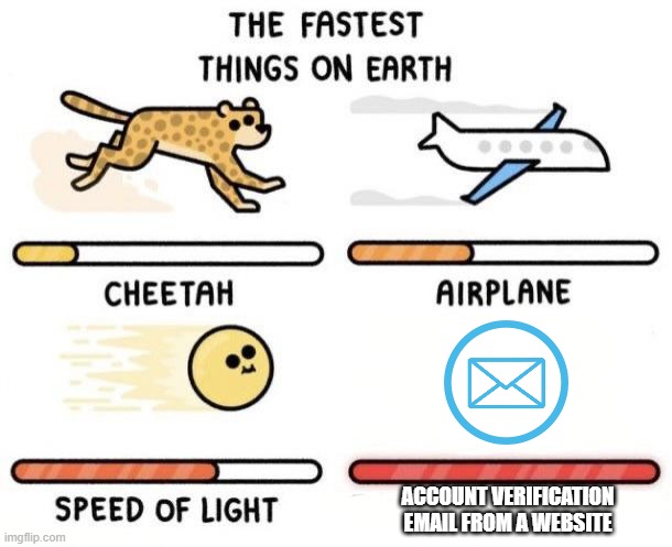 EMAIL VERIFICATION | ACCOUNT VERIFICATION EMAIL FROM A WEBSITE | image tagged in the fastest things on earth cheetah airplane speed of light | made w/ Imgflip meme maker