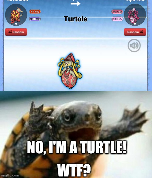 NO, I'M A TURTLE! WTF? | image tagged in turtle say what | made w/ Imgflip meme maker