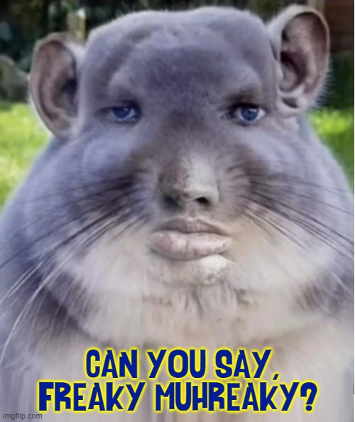 Inspired by .Soda., the memer formerly known as Nuka-Cola | CAN YOU SAY,
   FREAKY MUHREAKY? | image tagged in vince vance,fat rat,creepy mouse,freaky,cursed image,memes | made w/ Imgflip meme maker