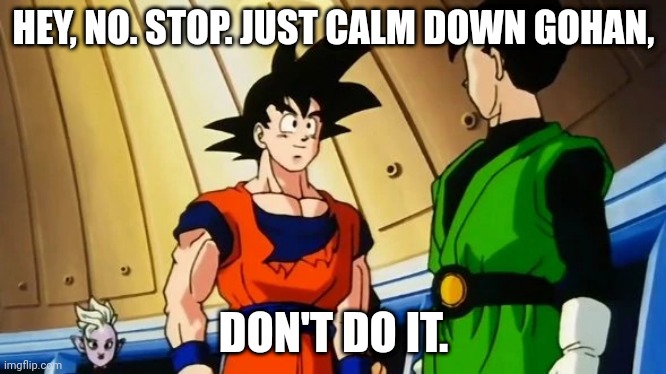 Goku and Gohan | HEY, NO. STOP. JUST CALM DOWN GOHAN, DON'T DO IT. | image tagged in goku and gohan | made w/ Imgflip meme maker