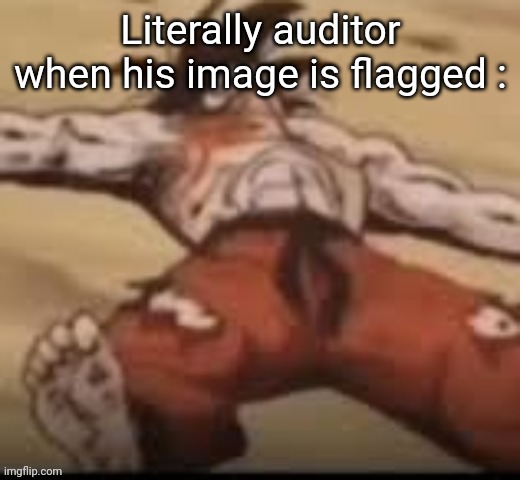 Who killed my brody | Literally auditor when his image is flagged : | image tagged in who killed my brody | made w/ Imgflip meme maker