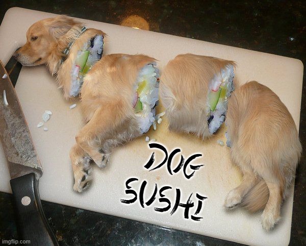 Please, expel the fur when eating! | DOG
SUSHI | image tagged in vince vance,dogs,sushi,cursed image,memes,vietnamese | made w/ Imgflip meme maker
