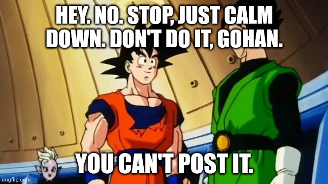 Goku and Gohan | HEY. NO. STOP, JUST CALM DOWN. DON'T DO IT, GOHAN. YOU CAN'T POST IT. | image tagged in goku and gohan | made w/ Imgflip meme maker